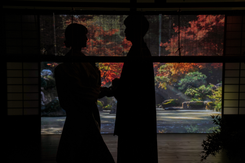 紅葉シルエット