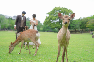 奈良ロケーション！