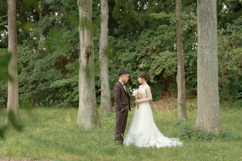 森っぽい雰囲気