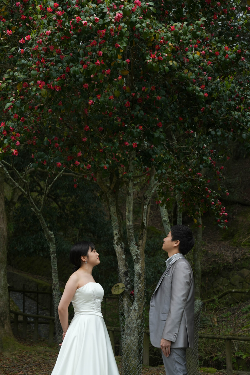 落ち着いたシーンも