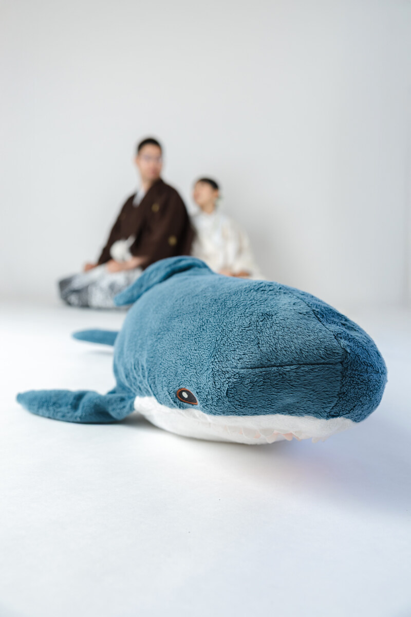 インパクト大のサメさん