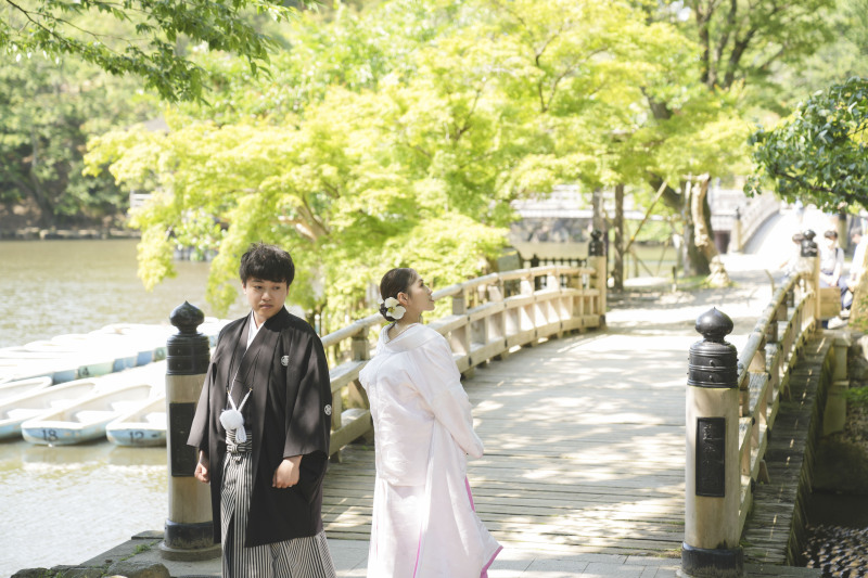 新緑の奈良公園