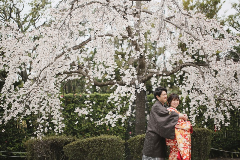 満開の桜の木の下で...♡