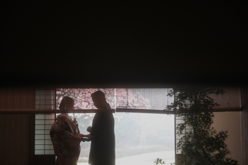 桜の季節