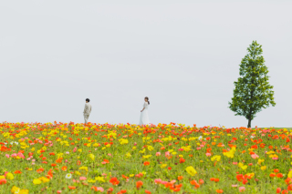 お花の季節目前です！