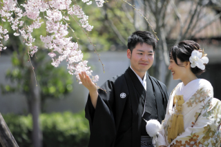 桜の穴場スポットで春らしく♪