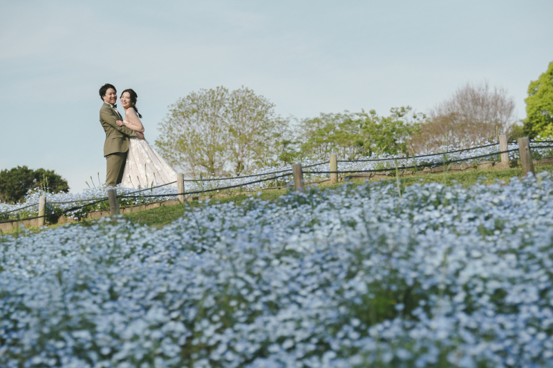 ネモフィラと二人