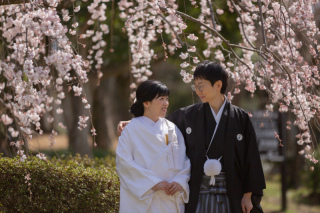 春の和装ウェディング　大仙公園