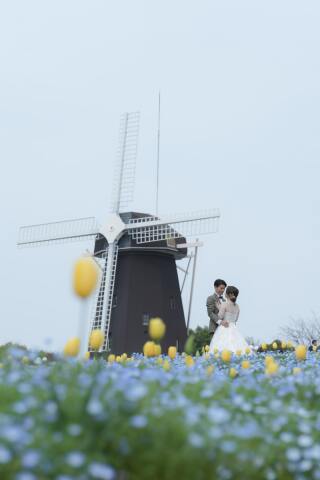 春の晴れの日に