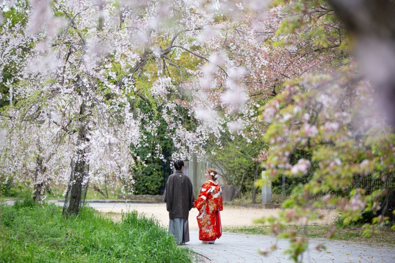 桜背景でのお二人の後ろ姿のショット♪