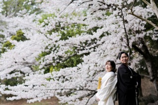 和装桜ロケーション撮影◎