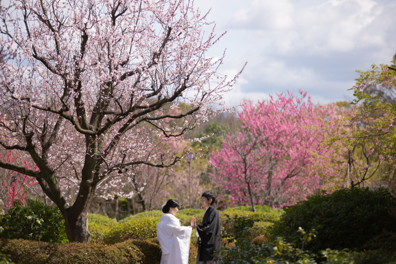 美しい背景の自然と共に。
