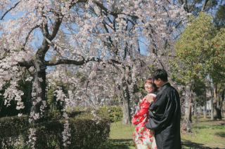 桜と大仙公園の和装ロケーション