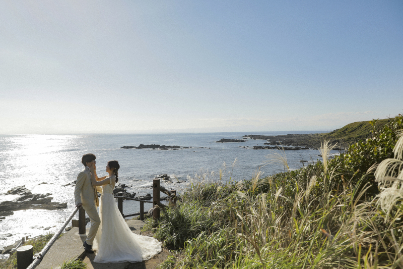 青空とススキと海