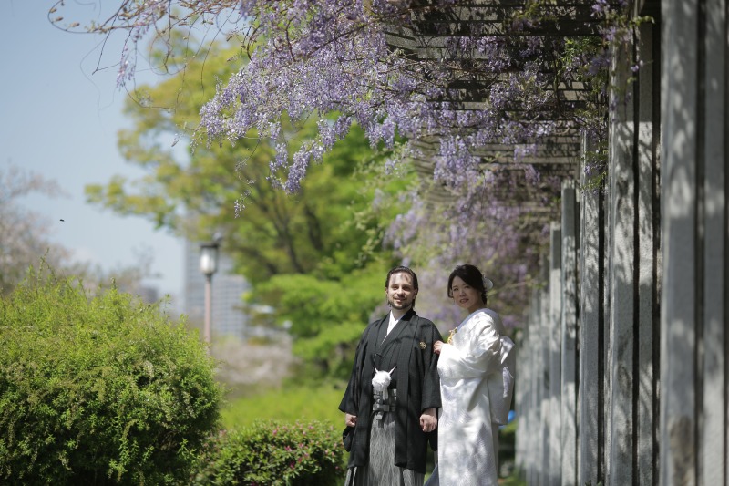 ノダフジショット!