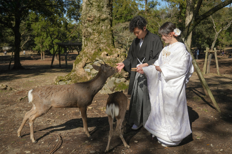 ラストショット