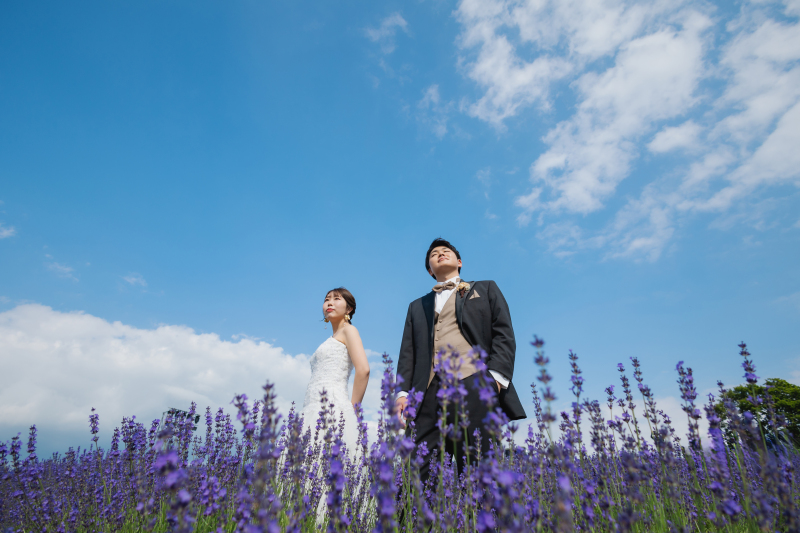 一面に広がるラベンダー！夏の北海道ロケーション