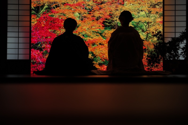 実はこれスタジオ写真です！！