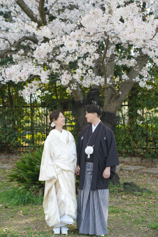 【和装ロケーション】大仙公園