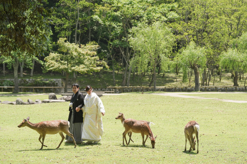鹿ちゃんと行進