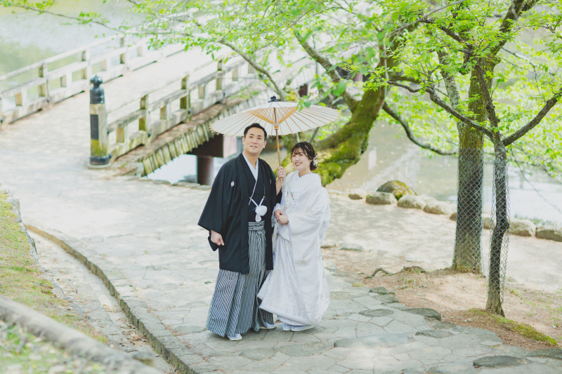 新緑の奈良公園