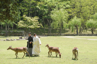 動物好きなお二人！鹿ちゃんとの和装撮影