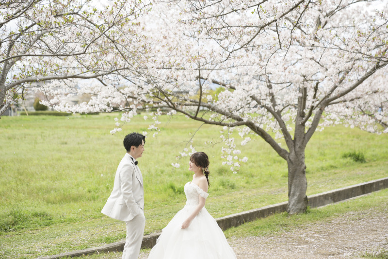 桜も菜の花も撮れる！藤原宮跡