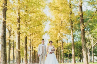 秋の鶴見緑地公園＆コスモスで撮りたい方必見！！