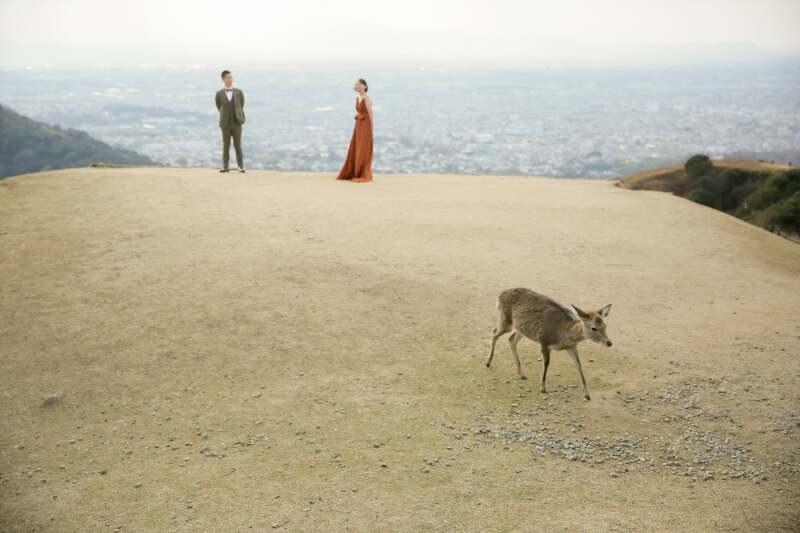 奈良 若草山 洋装ロケーション