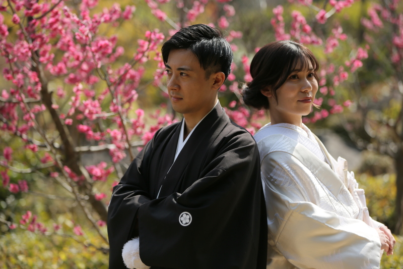 2月が見ごろです