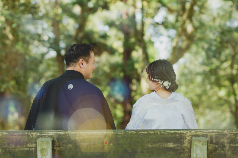 新緑の奈良公園