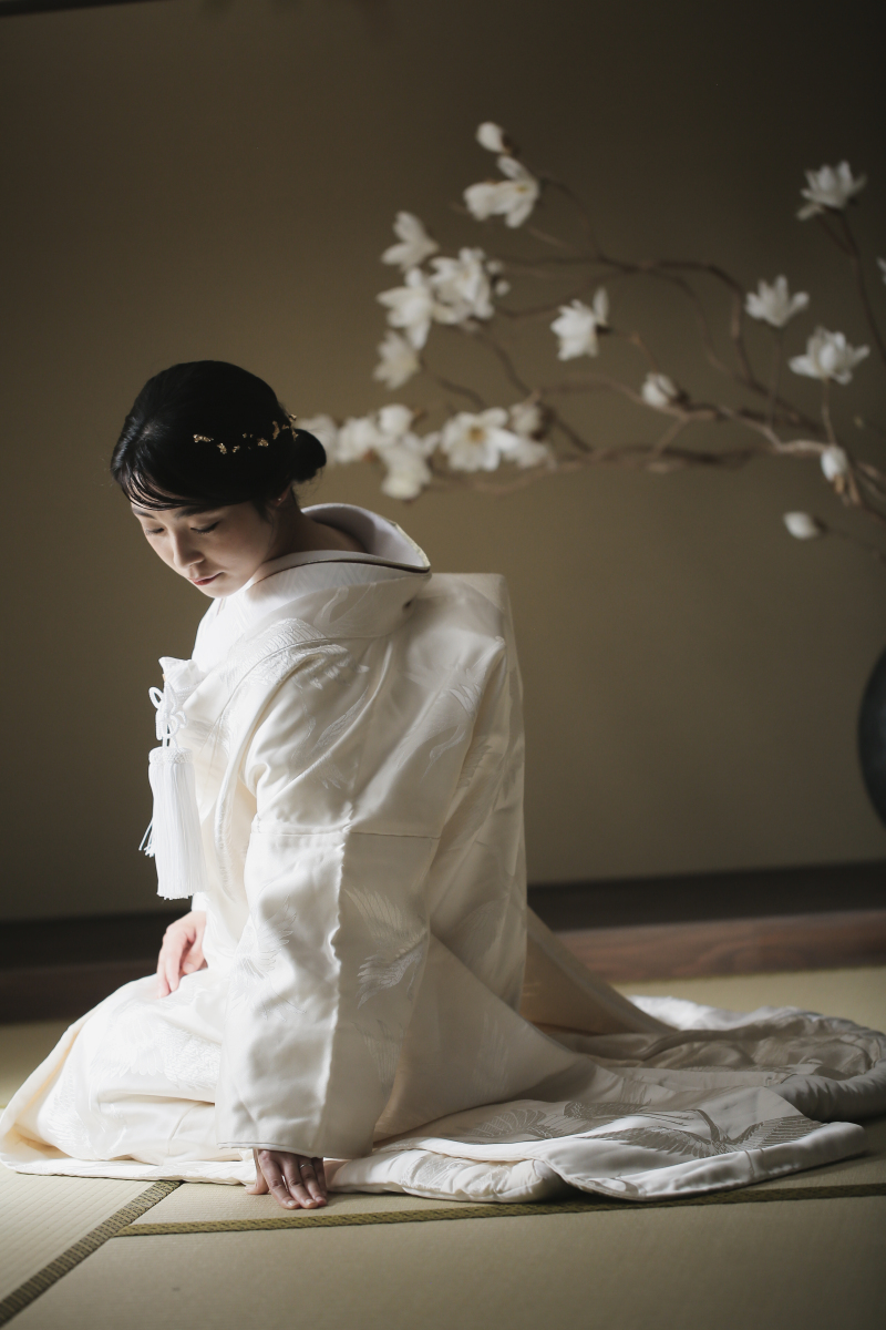 すました一枚も。