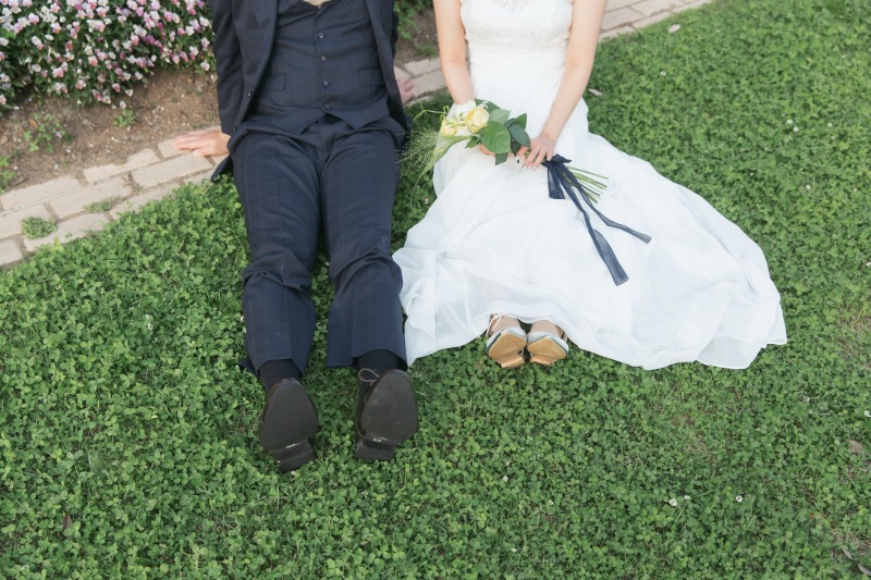 イメージカット