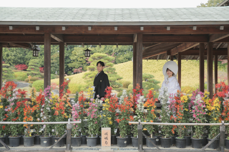 たくさんのお花と