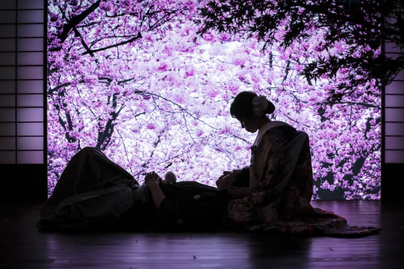 桜満開の背景で