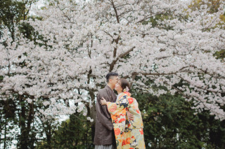 桜が開花しました！