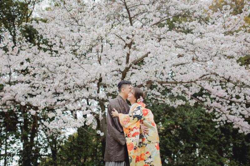 桜が開花しました!