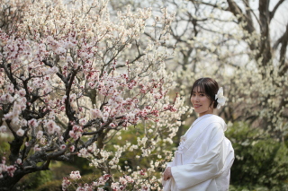 梅、桜撮影のご予約はお早めに！