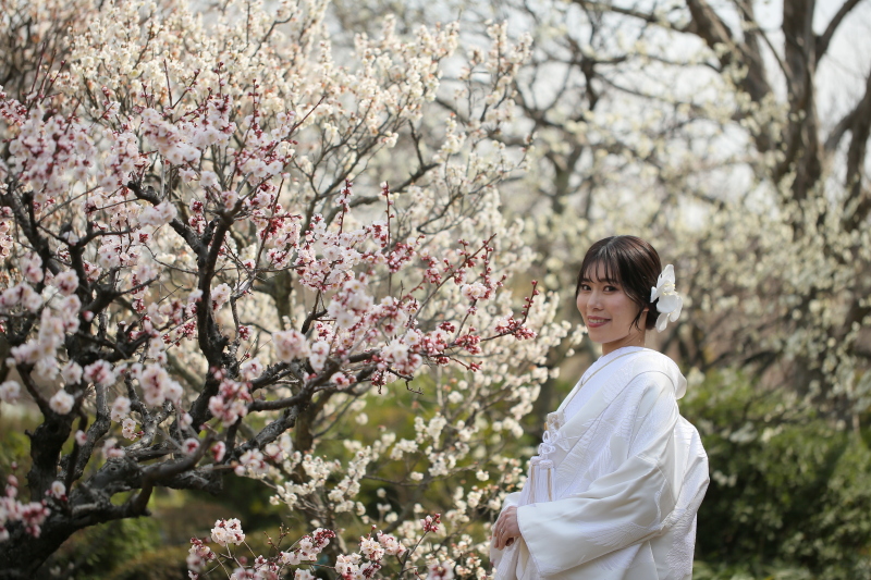 梅、桜撮影のご予約はお早めに！