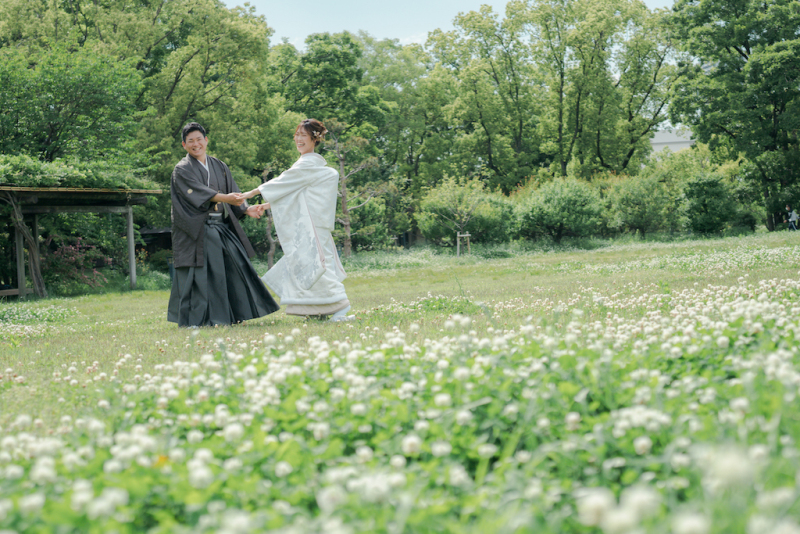 シロツメクサの絨毯