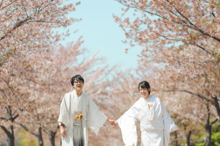 【桜ロケーション】大阪城！