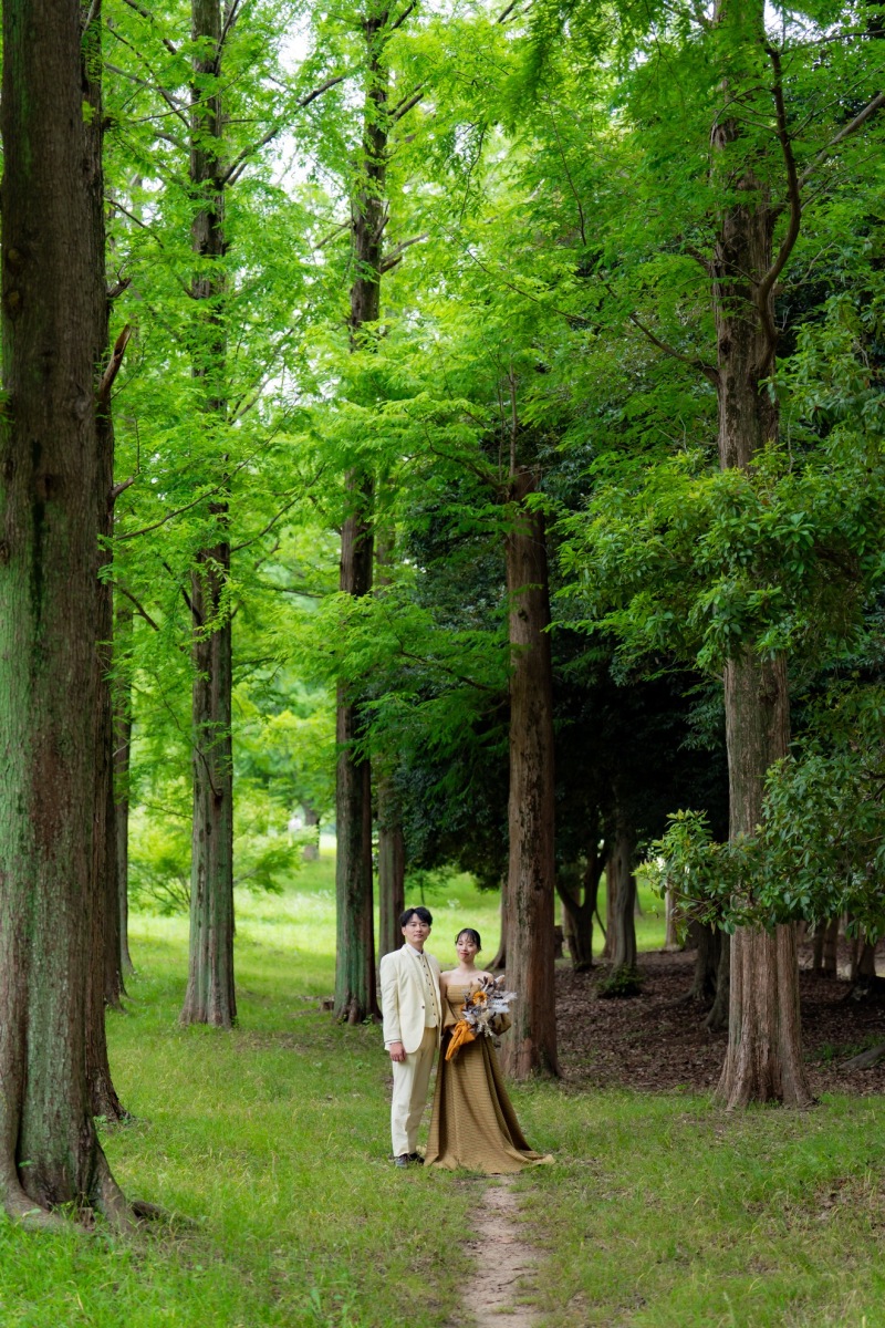 緑が綺麗なロケーションスポット