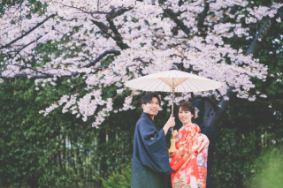 桜シーズン到来