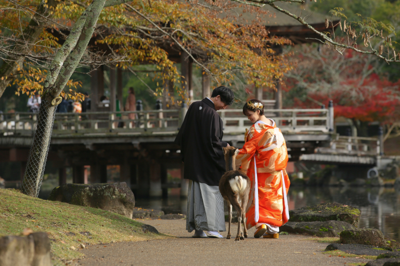 鹿ちゃんとお散歩