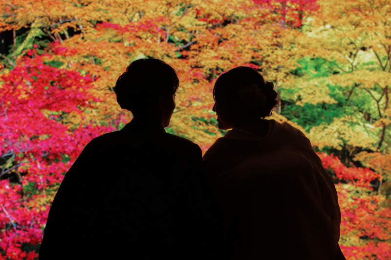 影を利用したショット