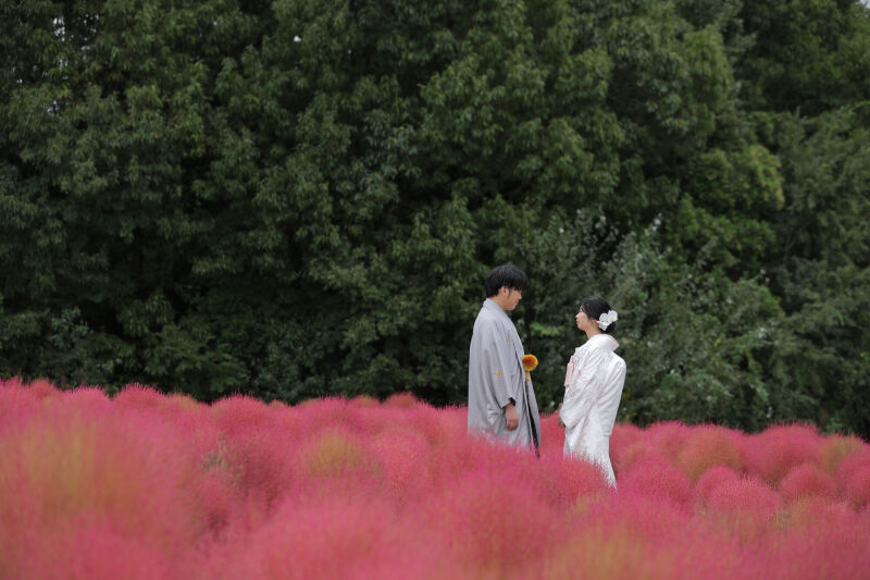 お花に囲まれて