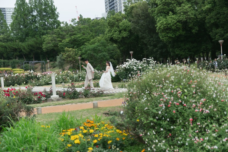 お花がいっぱい