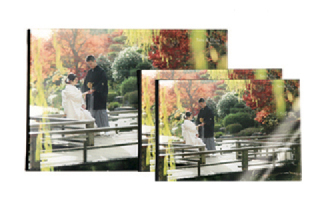 D18アルバム（35カット）大小セット