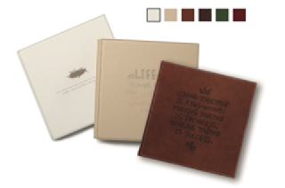 ビゾンテアルバム（80カット）