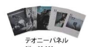 テオニーパネル